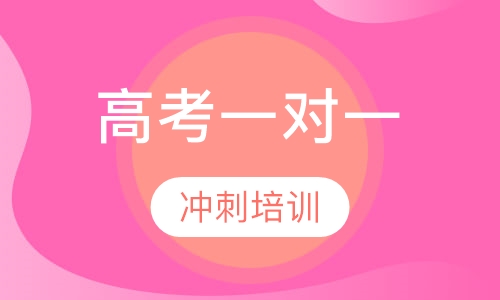 高考冲刺课程
