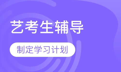 艺考生辅导
