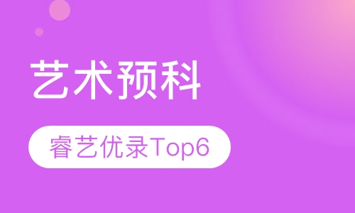 睿艺优录计划Top6