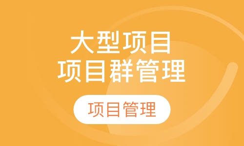 大型项目与项目群管理