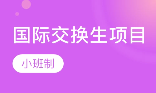 国际交换生项目