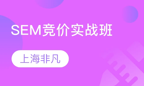 SEM竞价实战班