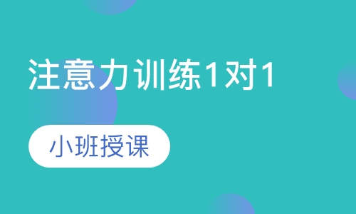 注意力训练1对1