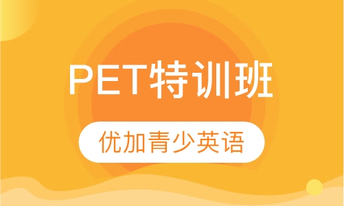 PET特训班  线上课程