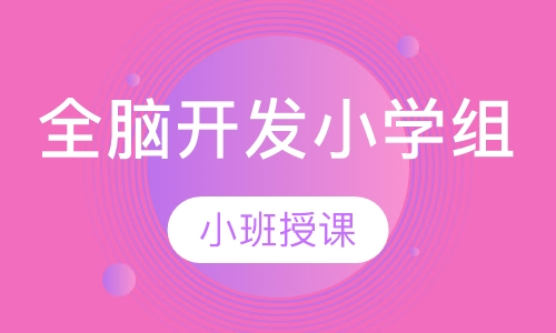 全脑开发小学组