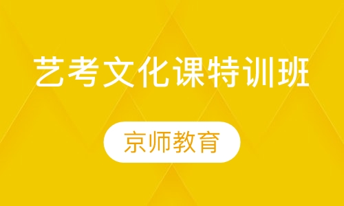 艺考文化课特训班