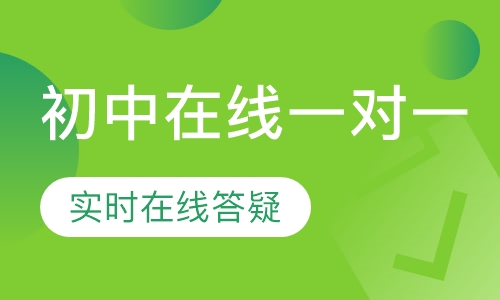 初中在线一对一