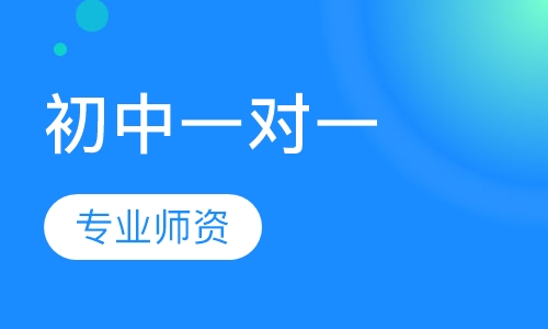 初中一对一