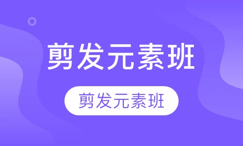 专业裁剪提升课程(剪发元素班)