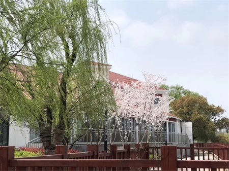 上海宏润博源2020年春季招生