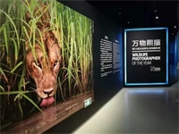 巴德美际学校，把课堂搬进成都博物馆