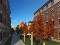 上海新纪元双语学校双语初中部2020年招生计划