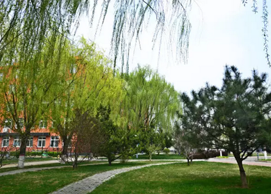 新府学外国语学校家长常见问题整理