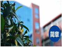 深圳实验学校国际教育基地2020年招生简章