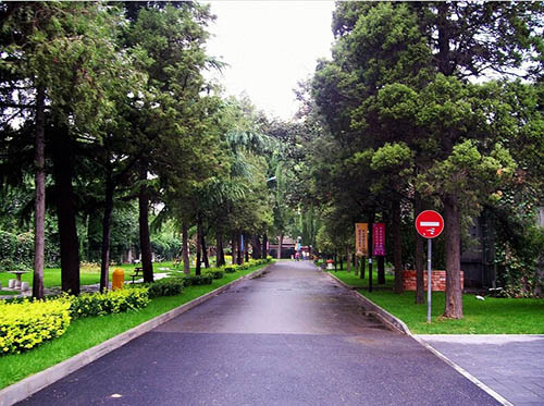 北外国际高中探校正确预约方式