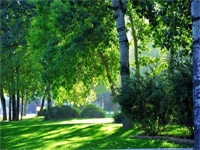 法耀剑桥少儿英语招生计划