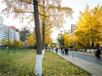 易赛思国际高中都有哪些课程？