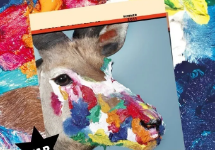 立洋学府2021『美遇立洋』艺术活动