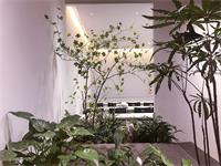 去日本留学需要什么条件-沐良塾