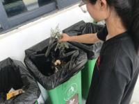 麓山中加学校：践行垃圾分类，共创美好家园