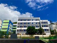 香港崇正牛津国际课程携手香港大学学科导师 举办全球创意产业讲座