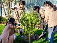 上海诺美学校2020-2021年招生简章