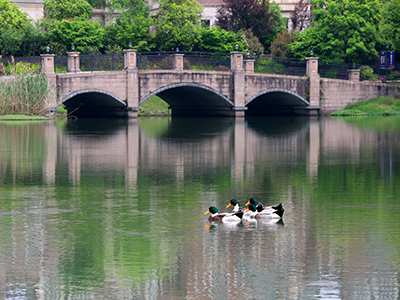 杭州育澜学校2020年春季招生详情