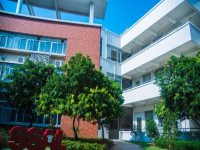 广东实验中学A-Level国际课程怎么样？有哪些课程特点？