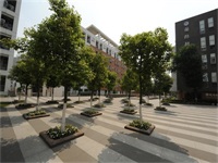 录取季 | 约翰&middot;霍普金斯大学、斯沃斯莫尔学院、圣母大学、帝国理工学院&hellip;&hellip;美英TOP10名校OFFER心动来袭！