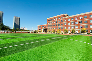 天津美达菲国际学校2021年招生政策解读