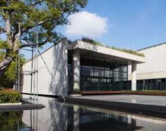 上海赫徳双语学校体育外教：如何看待中国体育教学?