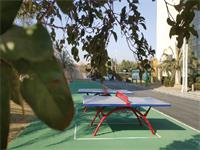 和风日本国际高中2021年秋季招生正式启动