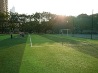 这些学长学姐打动芝加哥大学、康奈尔大学招生官的秘诀是......