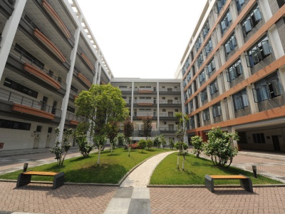 2019年全球名校录取（部分）