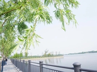 探险刺激？佛系游园？皆乐在其中&mdash;&mdash;我们的迪士尼春游活动