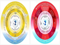 喜报!中学项目通过IB授权，华师外校成为国际文凭组织PYP、MYP&ldquo;双料认证&rdquo;外国语学校