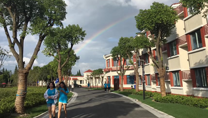 武钢三中国际部中美国际班的优势