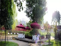 成都青苗双语学校举办的课内外兴趣活动、公益活动、体育活动等