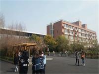 白玉木槿国际教育│国际课程班介绍