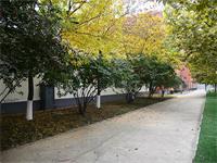 北京新府学外国语学校奖学金设置