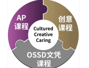 建桥国际高中加美OA专业的教育设计介绍