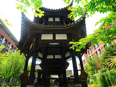 成都七中高新校区校园一景