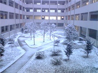 江苏省前黄高级中学国际分校特色课程