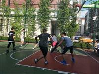 NHA 国际高中(A Level,AP)学校介绍