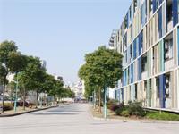 上海外国语大学附属双语学校国际部简介