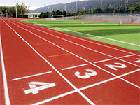 2016&mdash;2017学年瑞得福国际学校主要招生活动