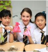 走进魅力中医文化，体验神奇香囊制作