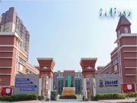 双胞胎姐妹如何炼成学霸：病痛和困难只是成功路上的垫脚石