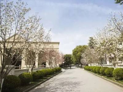 走进泰莱国际高中的优质教学体验