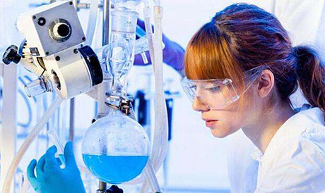 上海教科实验中学国际招生说明会及招生考试通知